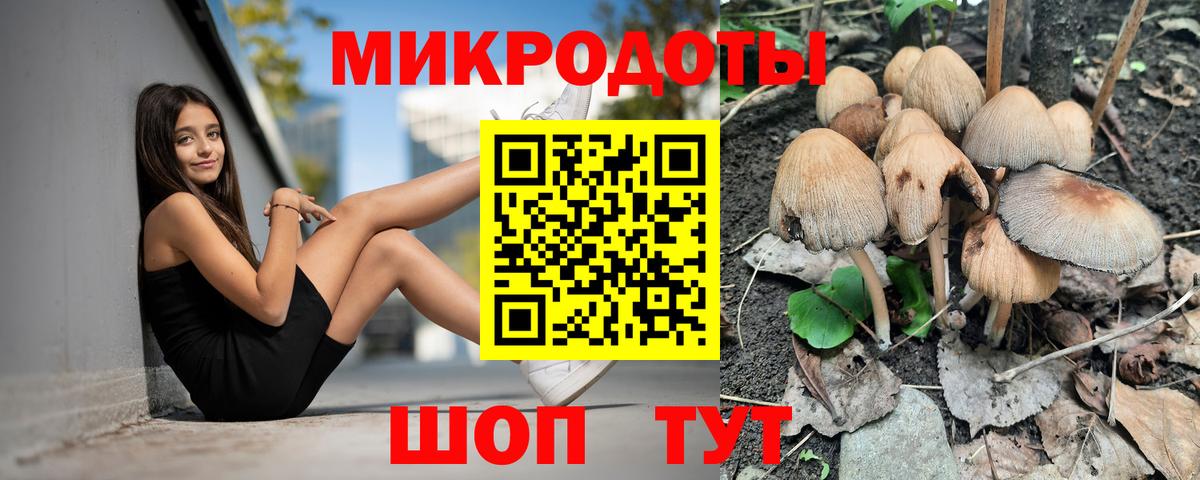 Псилоцибиновые грибы мицелий  продажа наркотиков  Добрянка  Вход с VPN 